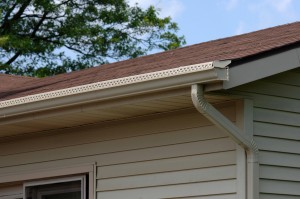 Gutter in Upstate New York