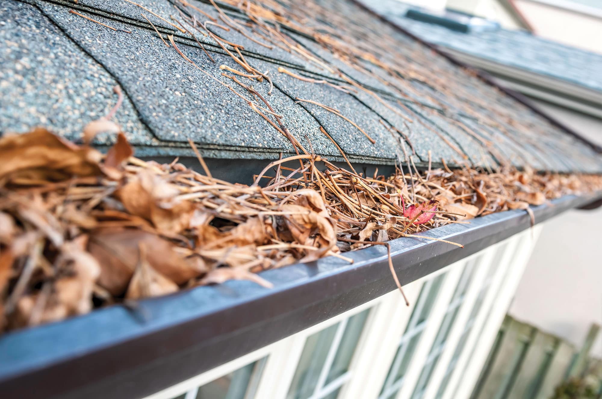 Tips for Helping Prevent Clogged Gutters